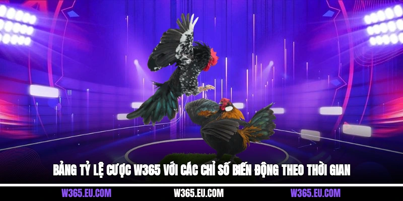 Bảng tỷ lệ cược W365 với các chỉ số biến động theo thời gian