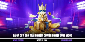 Đá Gà Cựa Dao - Trải Nghiệm Chuyên Nghiệp Cùng W365