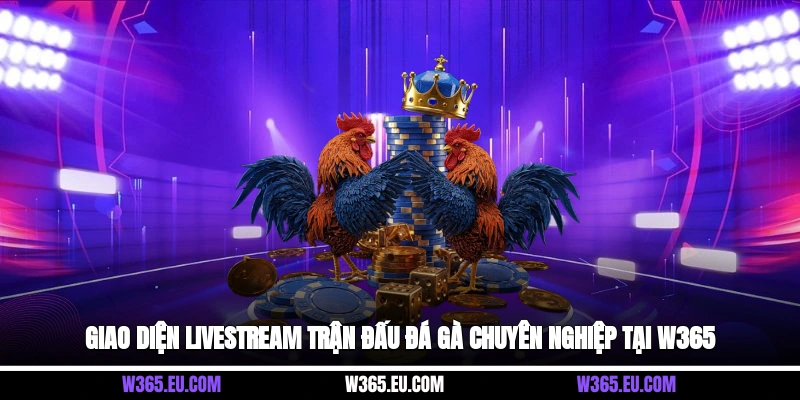 Giao diện livestream trận đấu đá gà chuyên nghiệp tại W365