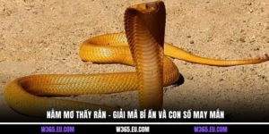 Nằm Mơ Thấy Rắn – Giải Mã Bí Ẩn Và Con Số May Mắn