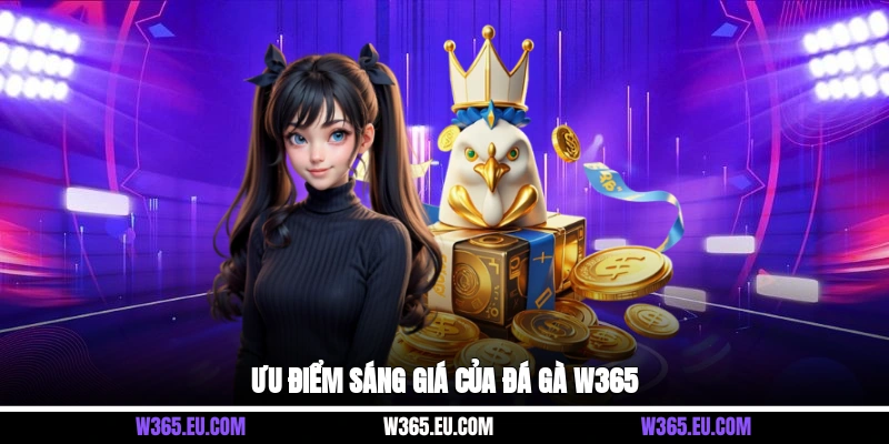 Ưu điểm sáng giá của đá gà W365