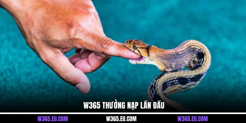 W365 thưởng nạp lần đầu